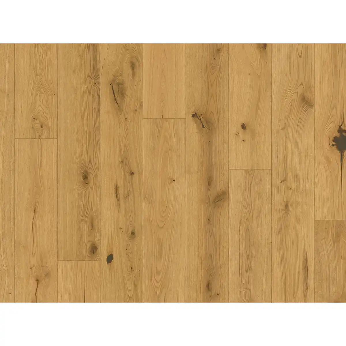 Bild 3 von Parador Parkett Basic Character Eiche Naturöl Landhausdiele 1-Stab Geölt