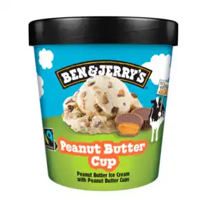 Ben & Jerry's Eis Peanut Butter Cup 465ml