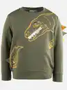 Bild 1 von Jungen Sweatshirt mit Dinoprint Grün