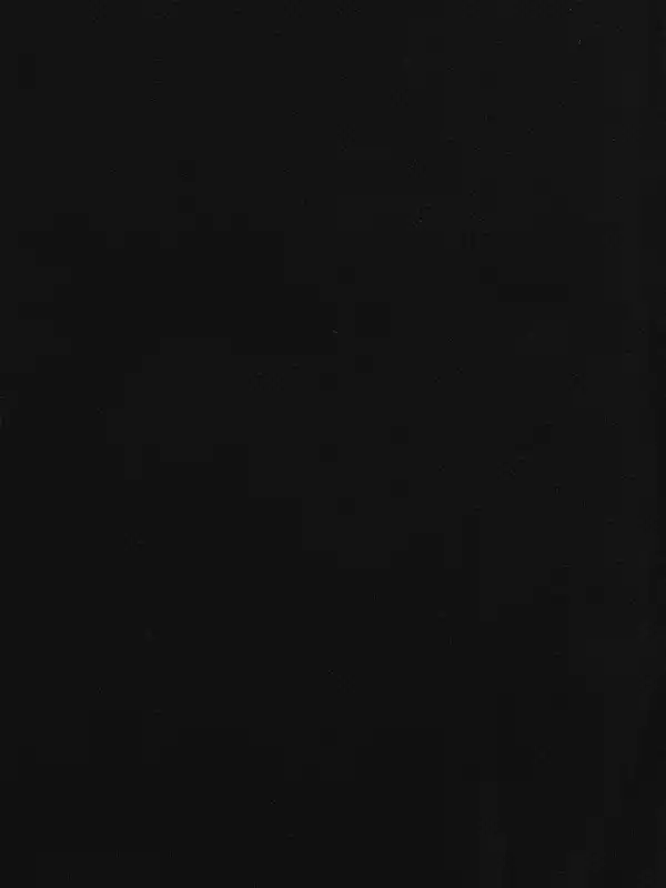 Bild 2 von Herren Schal Schwarz