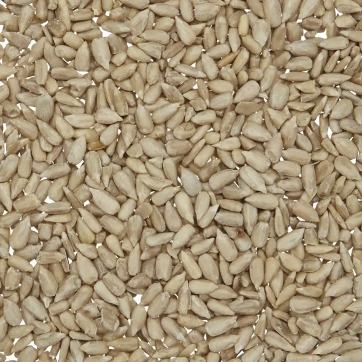 Bild 2 von Gartenkrone Vogelfutter, 1 kg