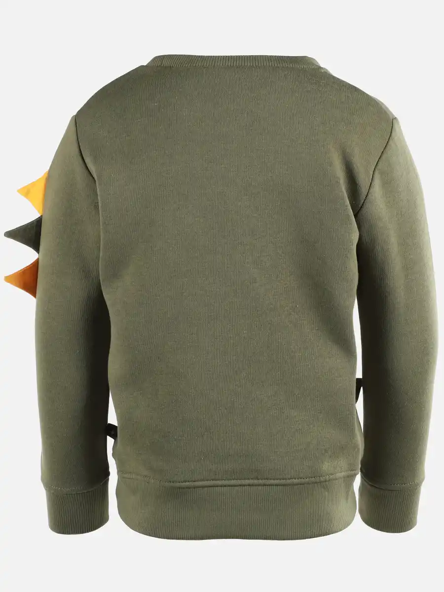 Bild 2 von Jungen Sweatshirt mit Dinoprint Grün