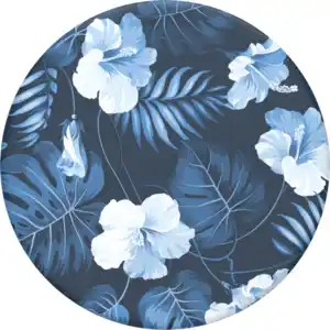 PopSockets PopGrip Blue Island