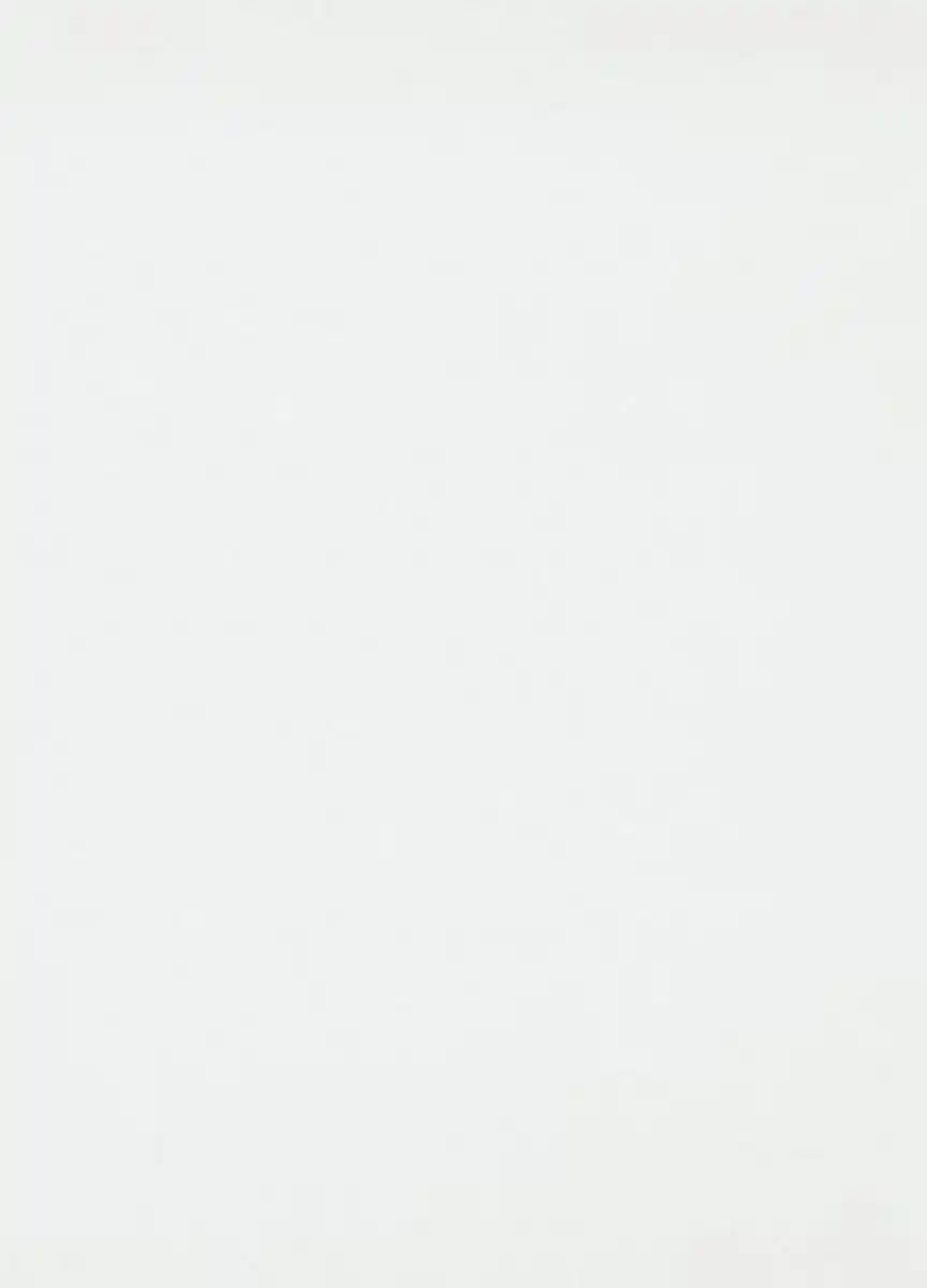 Bild 1 von Erismann Renoviervlies weiß 25 x 0,75 m