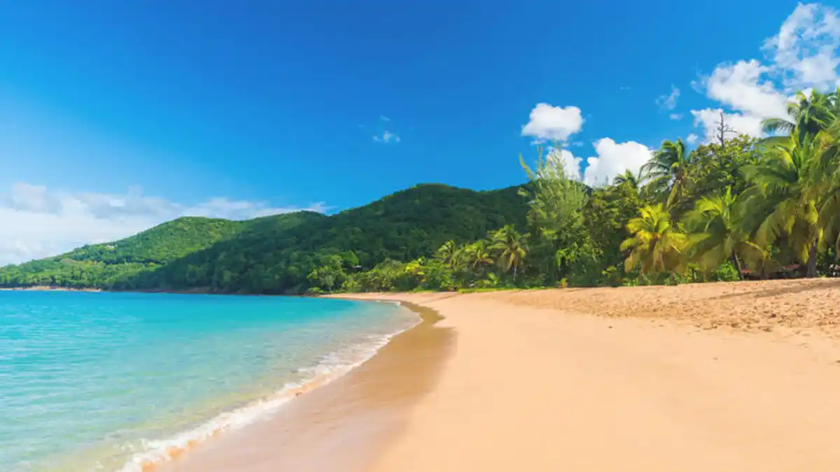 Bild 1 von Kreuzfahrten Antillen & Südliche Karibik: Kreuzfahrt mit MSC Virtuosa ab/an Fort de France