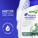 Bild 3 von head & shoulders Anti-Schuppen Shampoo Juckende Kopfhaut, 300 ml