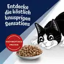 Bild 2 von FELIX Seaside Sensations Lachs & Gemüse 2kg