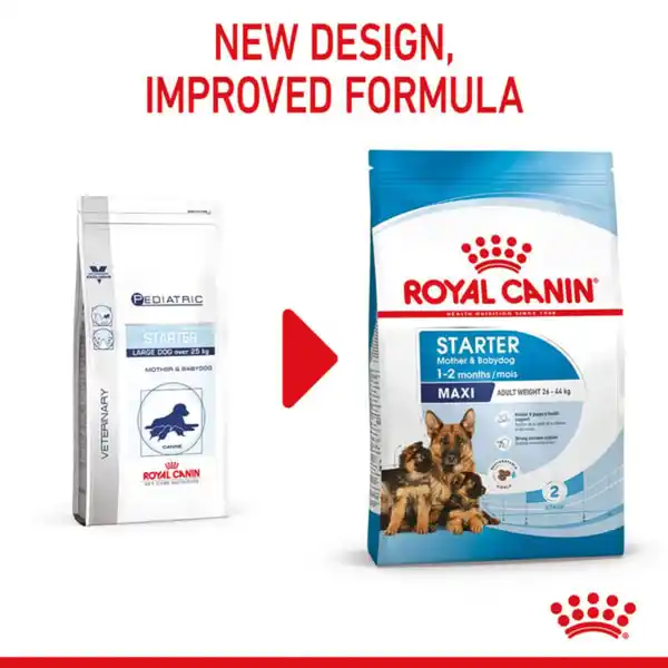 Bild 3 von ROYAL CANIN MAXI Starter für tragende Hündin und Welpen großer Rassen 15kg