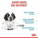 Bild 4 von ROYAL CANIN GIANT Junior Welpenfutter trocken für sehr große Hunde 2x15kg