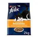 Bild 1 von FELIX Farmhouse Sensations Huhn & Truthahn 2kg