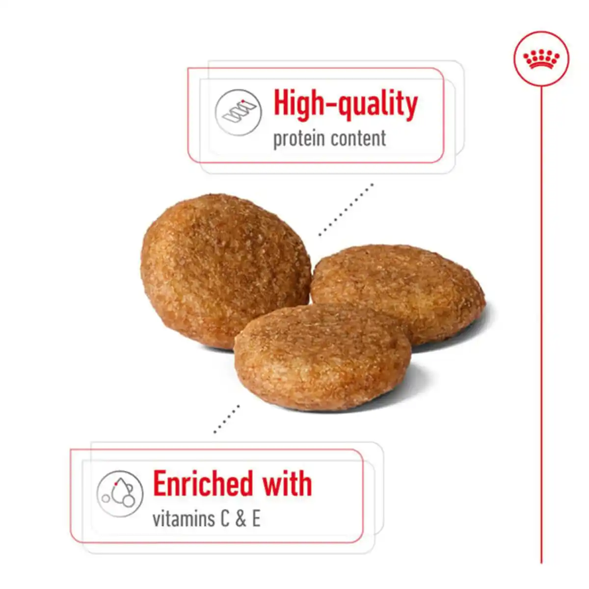 Bild 3 von Royal Canin Size Health Nutrition Medium Adult 4kg