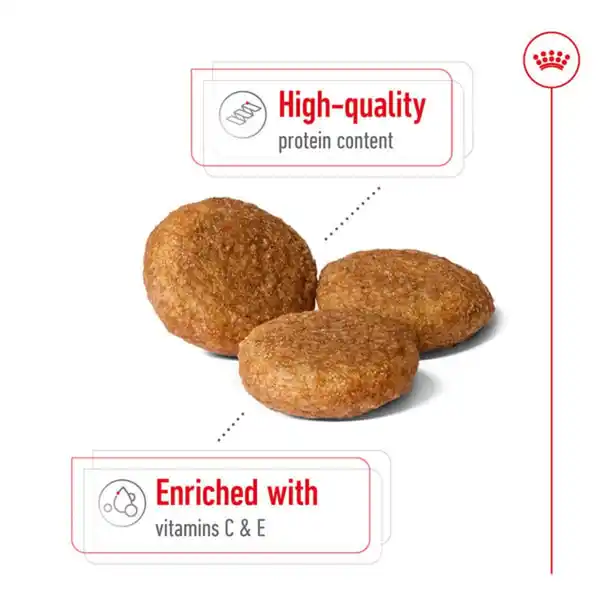 Bild 3 von Royal Canin Size Health Nutrition Medium Adult 4kg