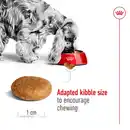 Bild 4 von Royal Canin Size Health Nutrition Medium Adult 4kg