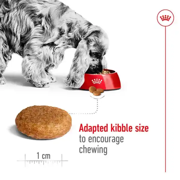 Bild 4 von Royal Canin Size Health Nutrition Medium Adult 4kg