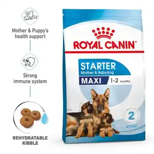 ROYAL CANIN MAXI Starter für tragende Hündin und Welpen großer Rassen 15kg