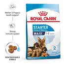 Bild 1 von ROYAL CANIN MAXI Starter für tragende Hündin und Welpen großer Rassen 15kg