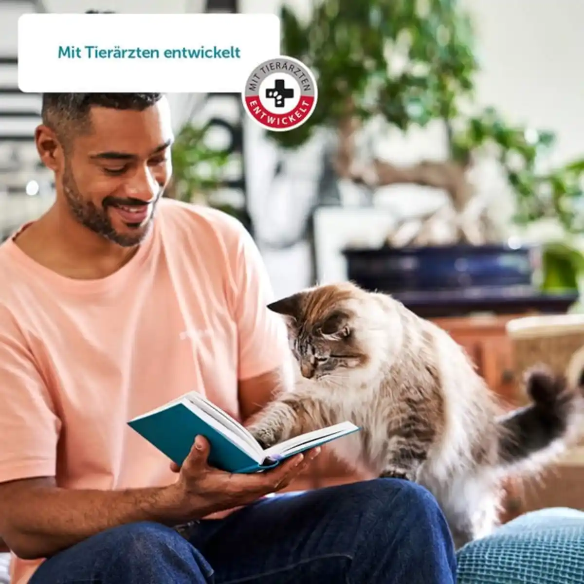 Bild 3 von ZooRoyal Rind+ Mixpaket Katze 6x400g