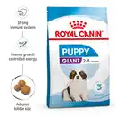 Bild 1 von ROYAL CANIN GIANT Puppy Trockenfutter für Welpen sehr großer Rassen 2x15kg