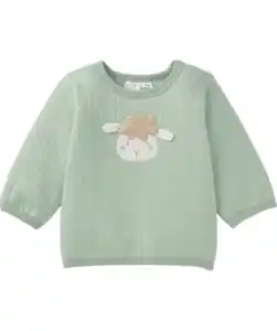 Newborn Sweatshirt, grün