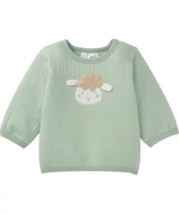 Bild 1 von Newborn Sweatshirt, grün