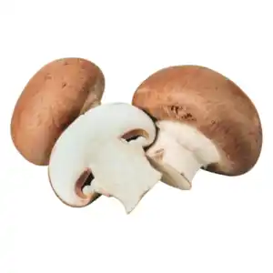 Deutschland Champignons braun