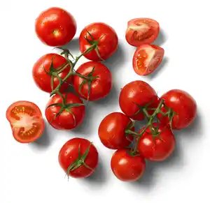 Span. Tomaten, 1-kg-Netz