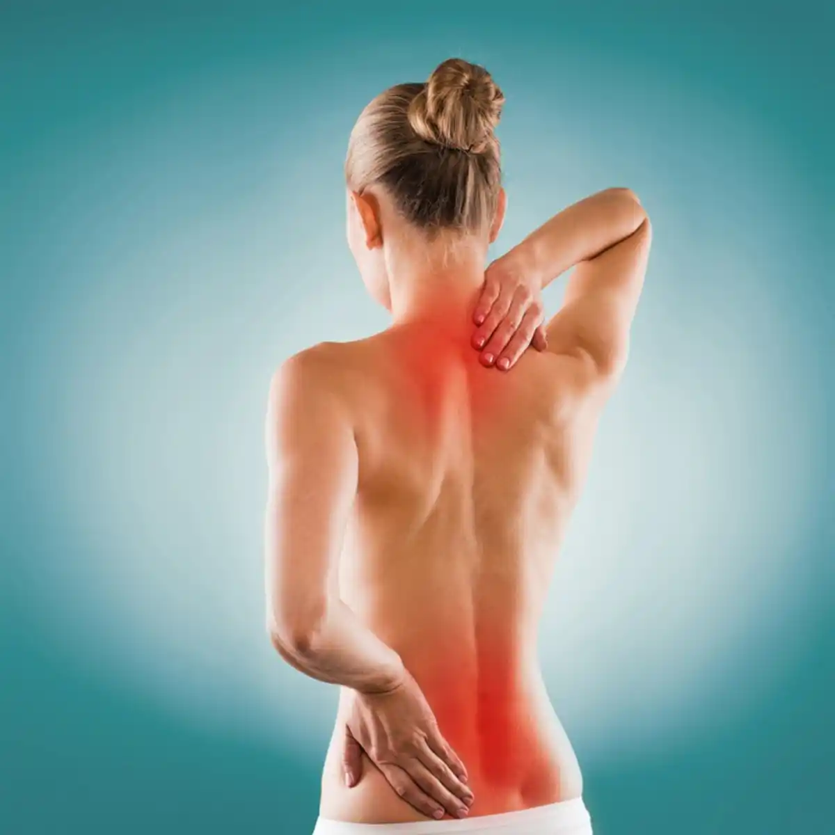 Bild 3 von Klebeelektroden KEG 365, 4er Set