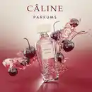 Bild 4 von Câline Madame Chérie, EdP 60 ml