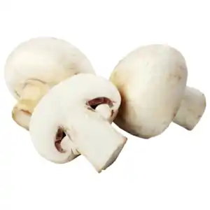 Deutschland/Polen Champignons weiß