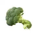 Bild 1 von Spanien Broccoli