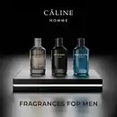 Bild 4 von Câline Homme Intense Gold, EdT 60 ml