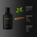 Bild 3 von Câline Homme Intense Gold, EdT 60 ml