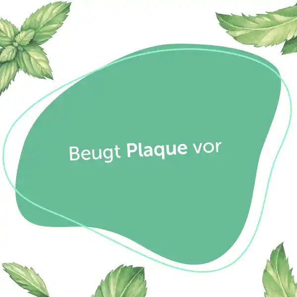 Bild 4 von Alterra NATURKOSMETIK Mundspülung Bio-Minze, 450 ml