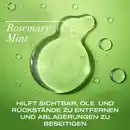 Bild 3 von ogx Refreshing scalp+ rosemary mint Shampoo, 385 ml