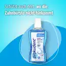 Bild 4 von prokudent Mundspülung Zahn- & Zahnfleischpflege, 500 ml