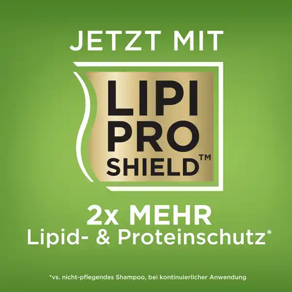 Bild 4 von ogx Refreshing scalp+ rosemary mint Shampoo, 385 ml