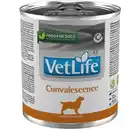 Bild 1 von VetLife Farmina Convalescence Genesung 6x300g