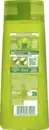 Bild 2 von Garnier Fructis Shampoo Anti-Schuppen, 250 ml