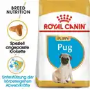 Bild 1 von ROYAL CANIN Mops Puppy 1,5 kg