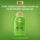 Bild 2 von ogx Refreshing scalp+ rosemary mint Shampoo, 385 ml