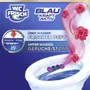 Bild 4 von WC FRISCH Blau Kraft-Aktiv Duftspüler Blütenfrische, 50 g