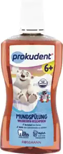 prokudent Junior Mundspülung Wildbeeren Geschmack, 500 ml