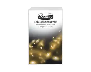 O'Canny Draht-LED-Lichterkette, warmweiß, ca. 1,10 m