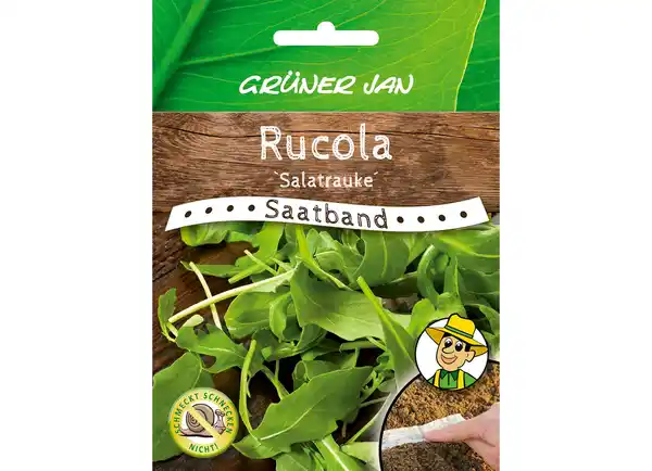 Bild 1 von Grüner Jan Saatband 'Rucola'