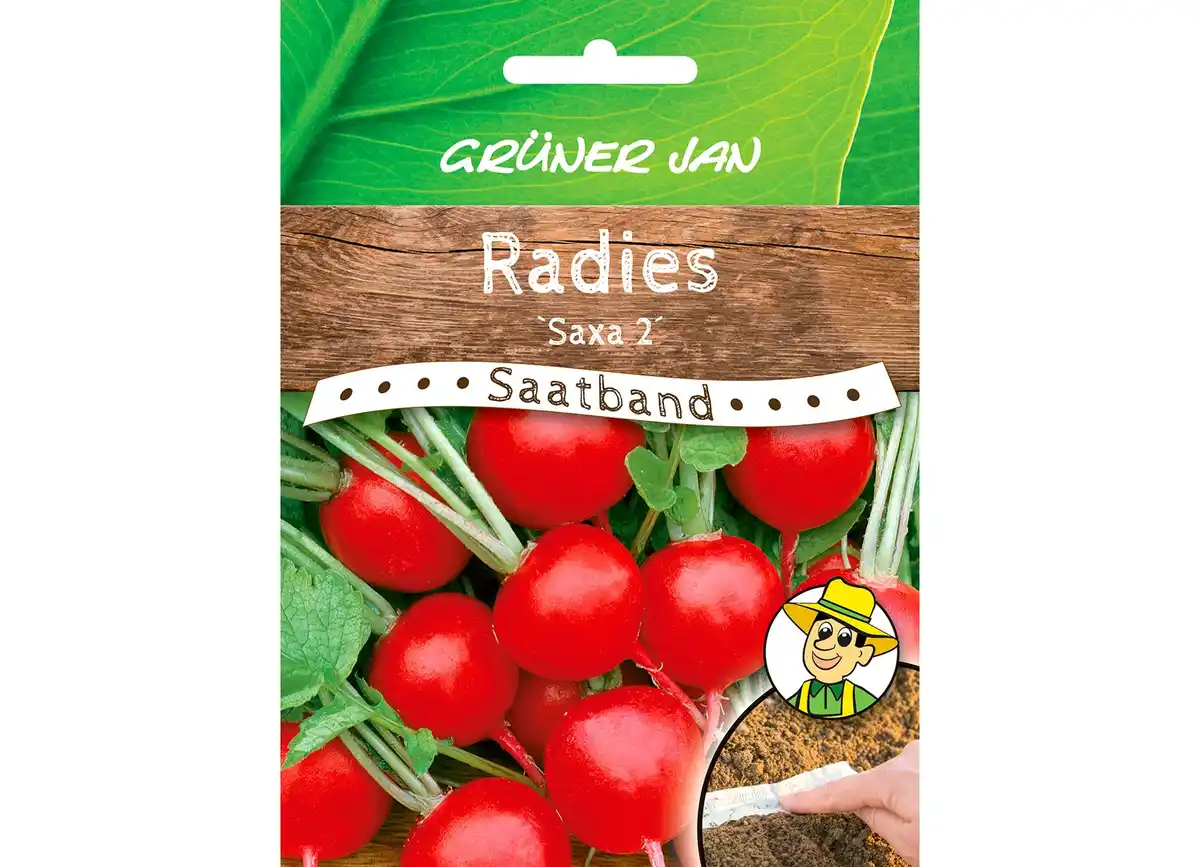 Bild 1 von Grüner Jan Saatband 'Radieschen'