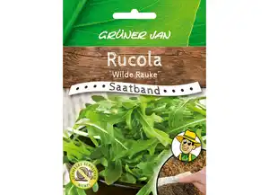 Grüner Jan Saatband 'Rucola Wilde Rauke'