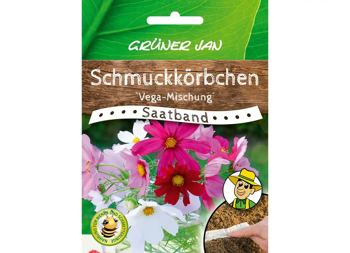 Bild 1 von Grüner Jan Saatband 'Schmuckkörbchen'