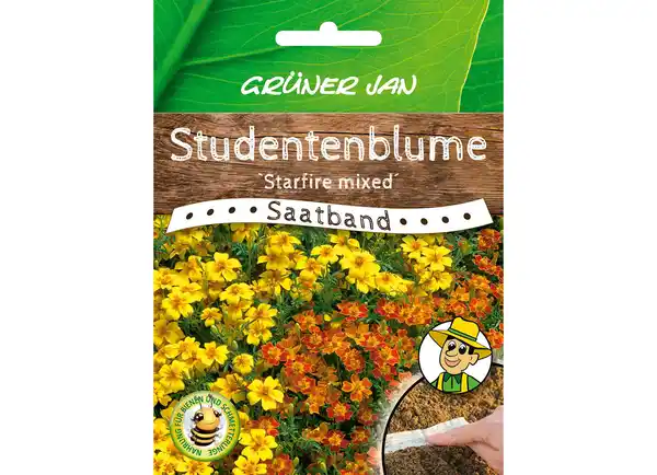 Bild 1 von Grüner Jan Saatband 'Studentenblume'