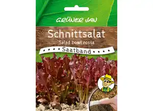 Grüner Jan Saatband 'Schnittsalat'