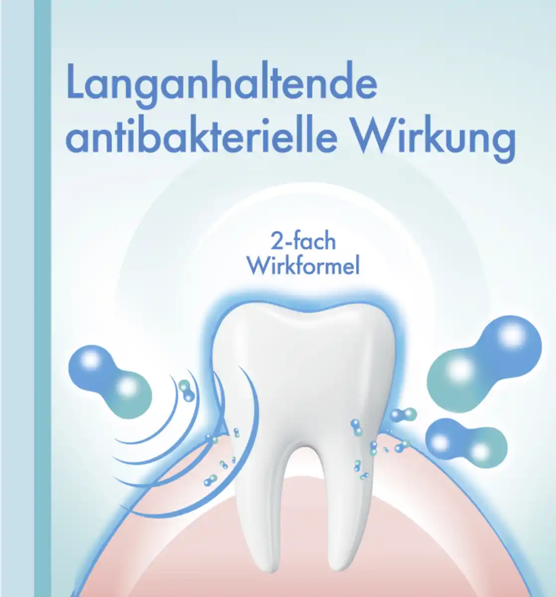 Bild 4 von meridol Rundumpflege Zahnpasta, 75 ml